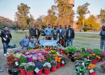 "In Full Bloom AIPL Horticulture Shines Bright at Nearby Flower Showcases"