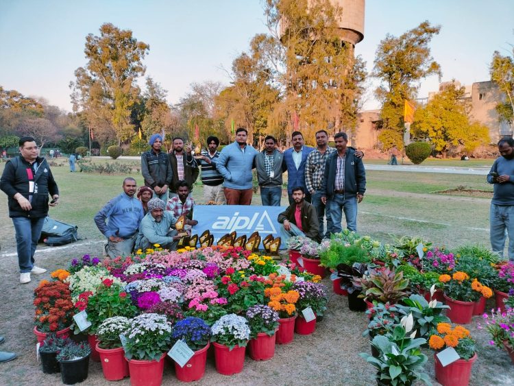 "In Full Bloom AIPL Horticulture Shines Bright at Nearby Flower Showcases"