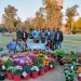 "In Full Bloom AIPL Horticulture Shines Bright at Nearby Flower Showcases"