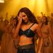 Triptii Dimri Turns Up the Heat – Get Ready for Something BIG!