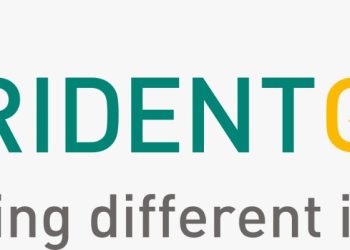 "Trident Ltd. Achieves INR 1721 Cr. in Q2 FY25: A Closer Look at Their Strong Financial Performance"