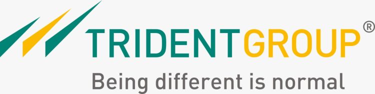 "Trident Ltd. Achieves INR 1721 Cr. in Q2 FY25: A Closer Look at Their Strong Financial Performance"