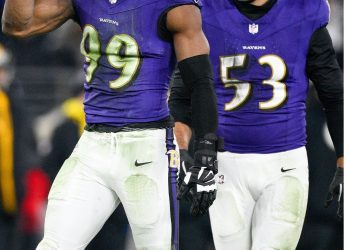 Ravens and Texans Dominate Wildcard Weekend: Progress to NFL Playoffs Week Two