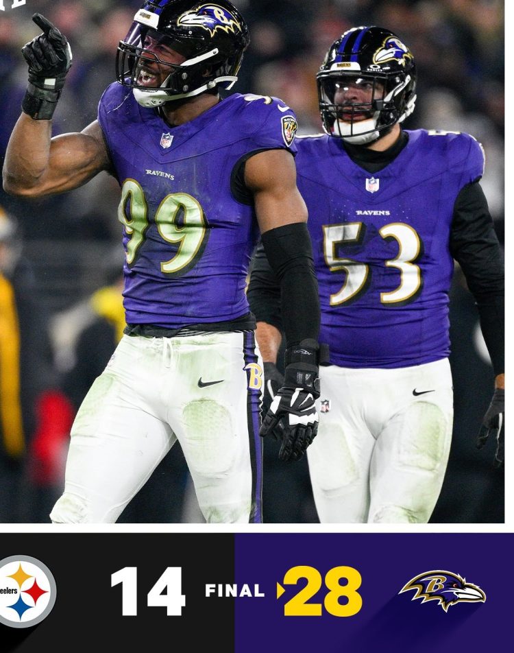 Ravens and Texans Dominate Wildcard Weekend: Progress to NFL Playoffs Week Two