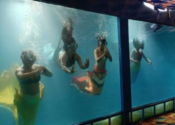Beautiful mermaids will attract the audience in Chandigarh's Jalpari Carnival