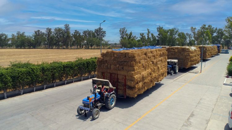 Turning Waste into Wealth: SAEL to Collect 20 Lakh Tonnes of Paddy Stubble to Curb Stubble Burning