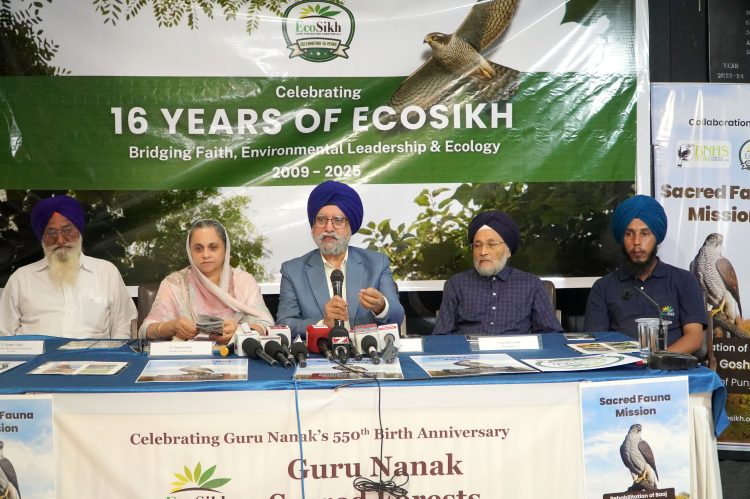 Punjab’s Iconic ‘Baaj’ Set for Revival Under EcoSikh’s Conservation Plan